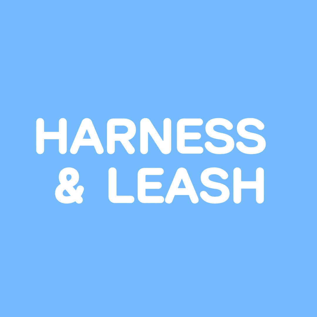 Harness & Leash