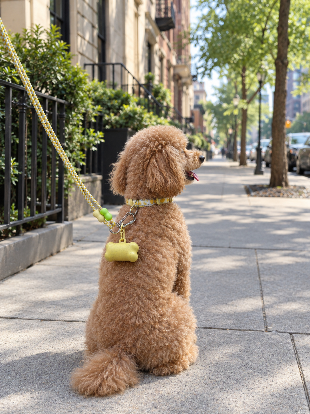 Poop Bags & Dispenser